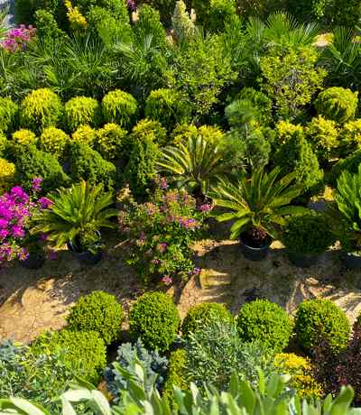 bit-ihracati bit-ihracati