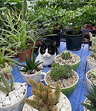 perakende-1 perakende-1