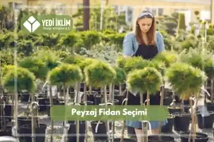 Peyzaj Fidanı Seçimi