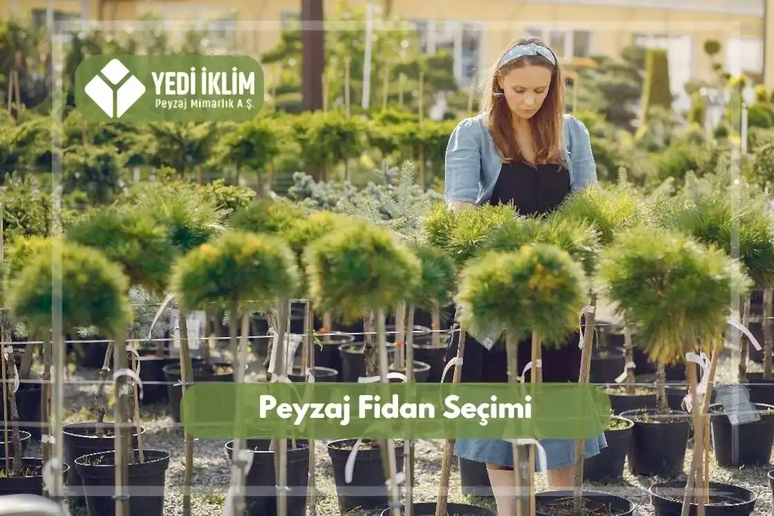 Peyzaj Fidanı Seçimi