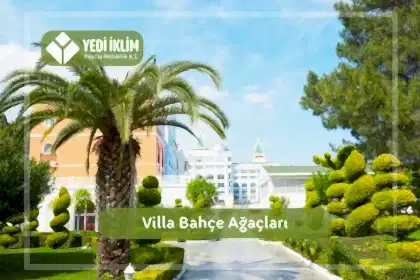 Villa Bahçe Ağaçları
