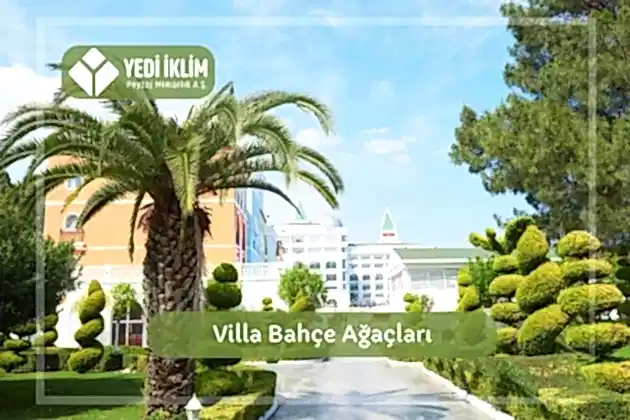 Villa Bahçe Ağaçları