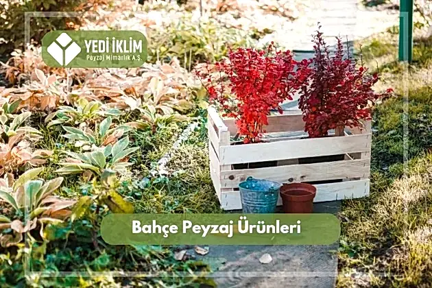 Bahçe Peyzaj Ürünleri