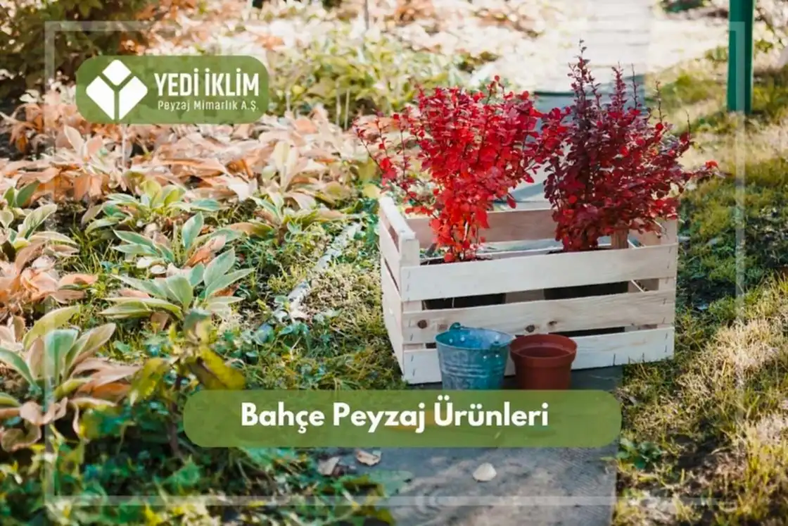 Bahçe Peyzaj Ürünleri