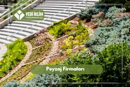 Peyzaj Firmaları