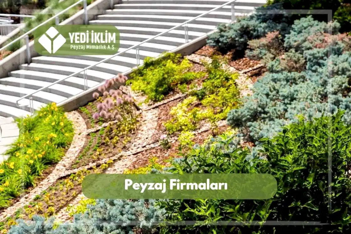 Peyzaj Firmaları