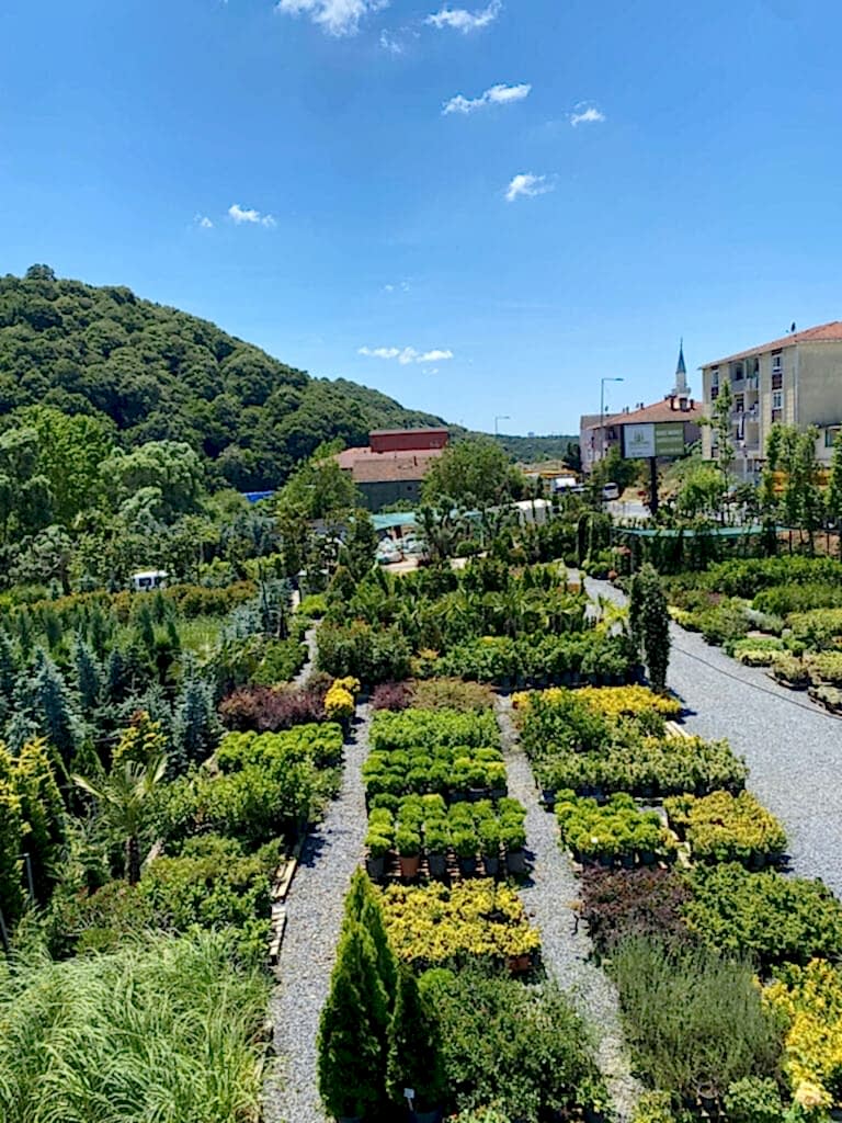 yediiklim-hakkimizda yediiklim-hakkimizda