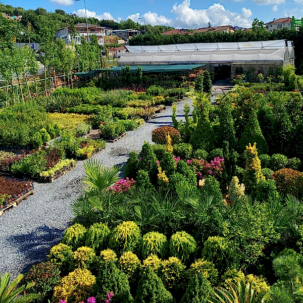 yediiklim-peyzaj-index yediiklim-peyzaj-index