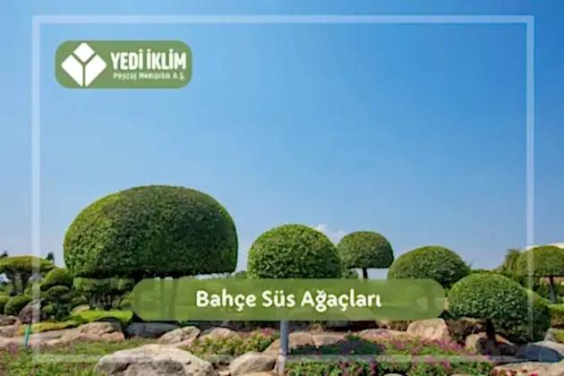 Bahçe Süs Ağaçları