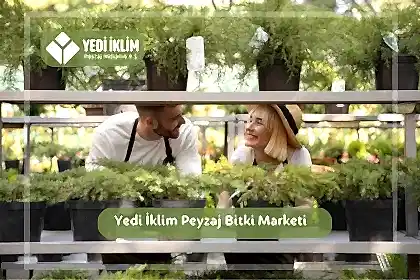 Yedi İklim Peyzaj ile Bitki Marketi