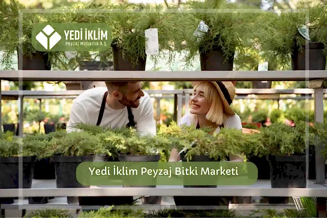 Yedi İklim Peyzaj ile Bitki Marketi