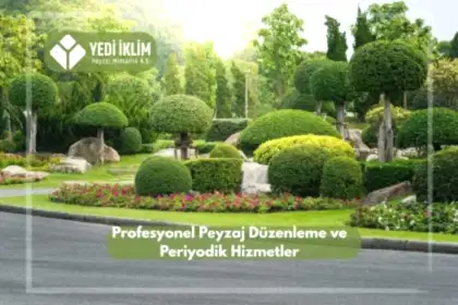 Profesyonel Peyzaj Düzenleme ve Periyodik Hizmetler