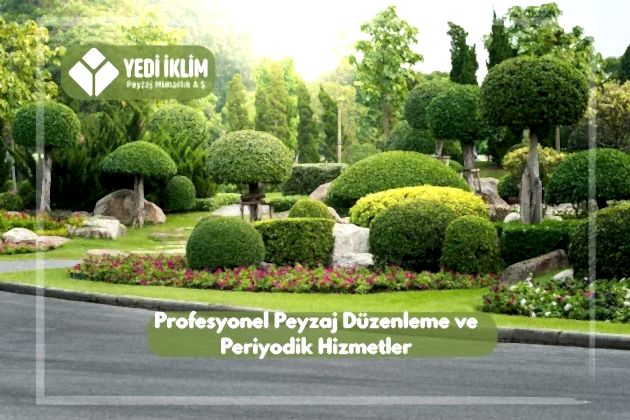 Profesyonel Peyzaj Düzenleme ve Periyodik Hizmetler