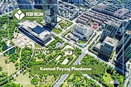 Kentsel Peyzaj Düzenleme