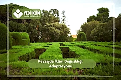 Peyzajda İklim Değişikliği Adaptasyonu