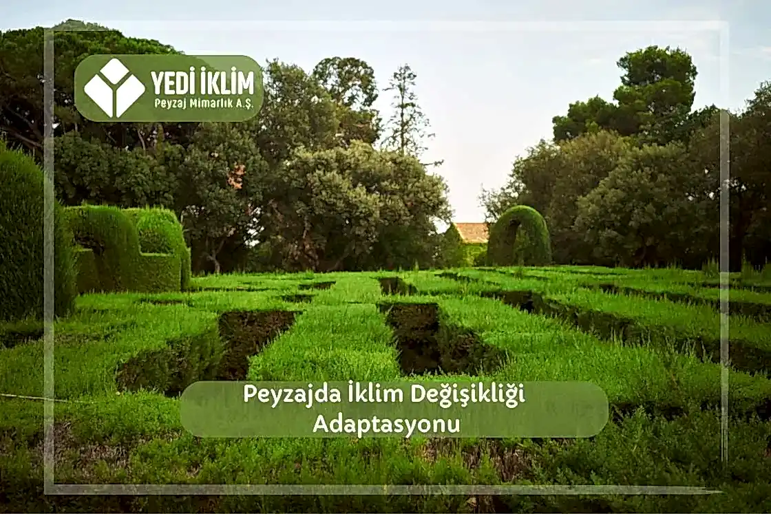 Peyzajda İklim Değişikliği Adaptasyonu