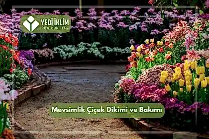 Mevsimlik Çiçek Dikimi ve Bakımı