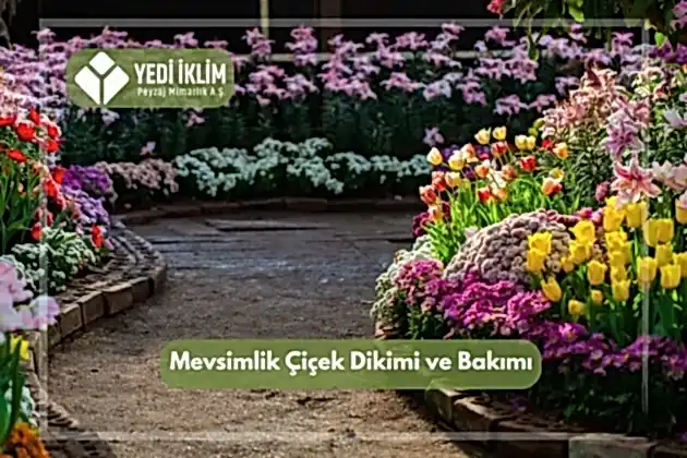 Mevsimlik Çiçek Dikimi ve Bakımı
