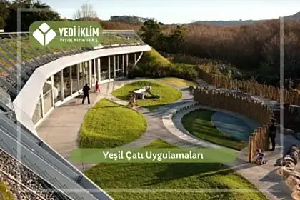 Yeşil Çatı Uygulamaları