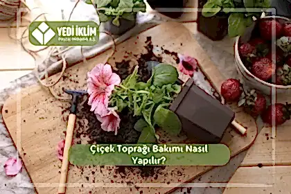 Çiçek Toprağı Bakımı Nasıl Yapılır?