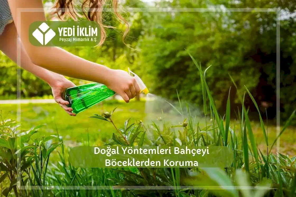 Doğal Yöntemlerle Bahçeyi Böceklerden Koruma