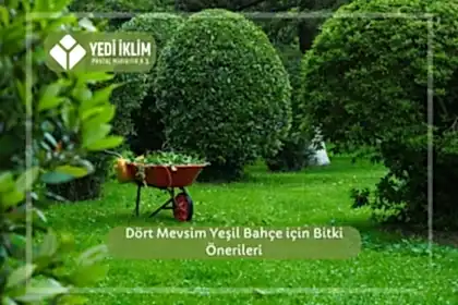 Dört Mevsim Yeşil Bahçe için Bitki Önerileri