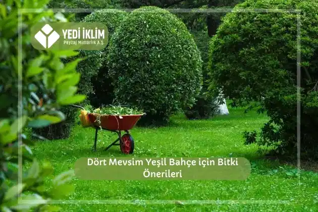 Dört Mevsim Yeşil Bahçe için Bitki Önerileri