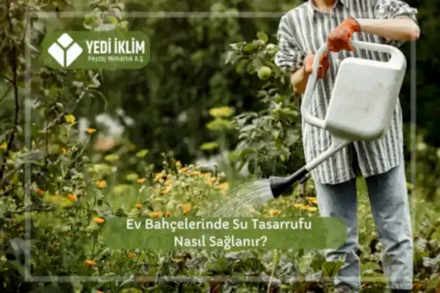 Ev Bahçelerinde Su Tasarrufu Nasıl Sağlanır?