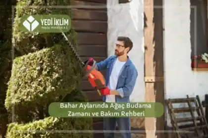 Bahar Aylarında Ağaç Budama Zamanı ve Bakım Rehberi
