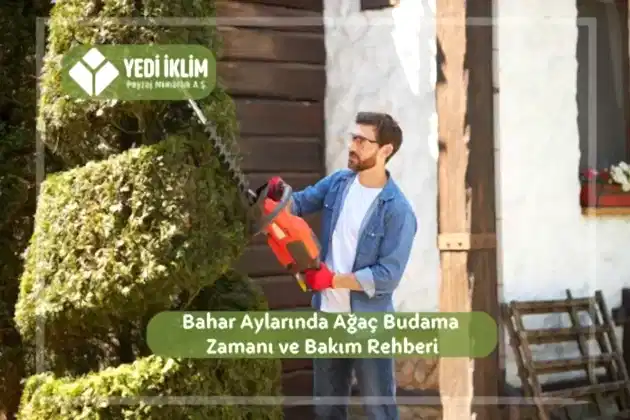 Bahar Aylarında Ağaç Budama Zamanı ve Bakım Rehberi