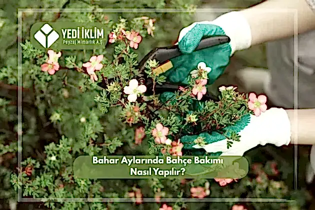 Bahar Aylarında Bahçe Bakımı Nasıl Yapılır?
