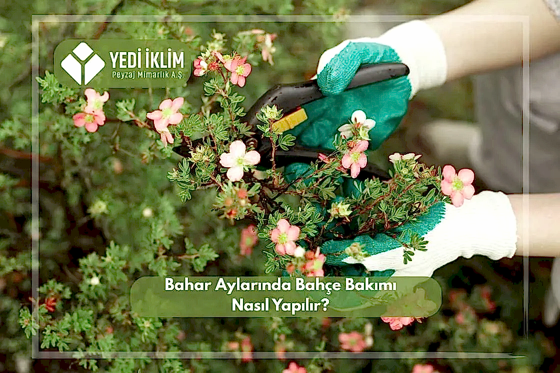Bahar Aylarında Bahçe Bakımı Nasıl Yapılır?