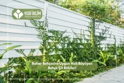 Bahar Bahçesine Uygun Hızlı Büyüyen Bahçe Çit Bitkileri