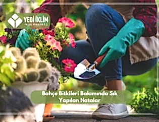 Bahçe Bakımında Sık Yapılan Hatalar