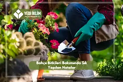Bahçe Bakımında Sık Yapılan Hatalar