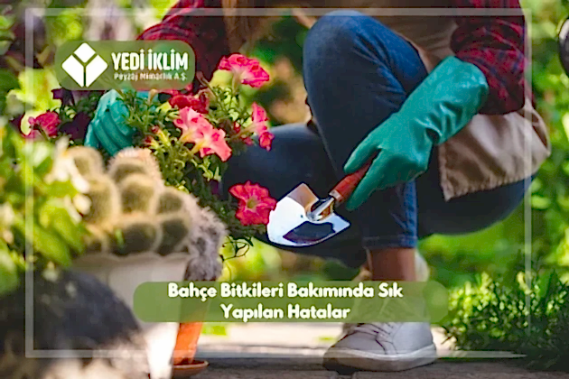 Bahçe Bakımında Sık Yapılan Hatalar