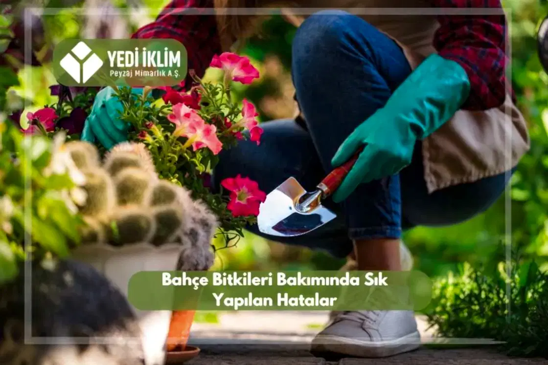 Bahçe Bakımında Sık Yapılan Hatalar