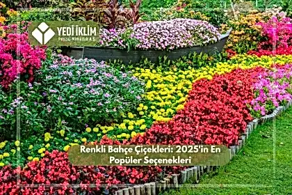 Renkli Bahçe Çiçekleri 2025'in En Popüler Seçenekleri
