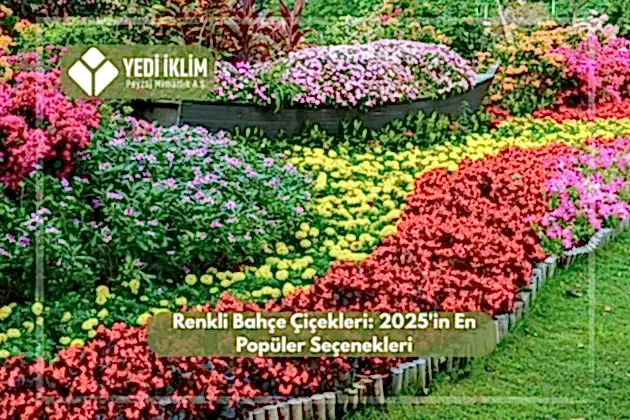 Renkli Bahçe Çiçekleri 2025'in En Popüler Seçenekleri