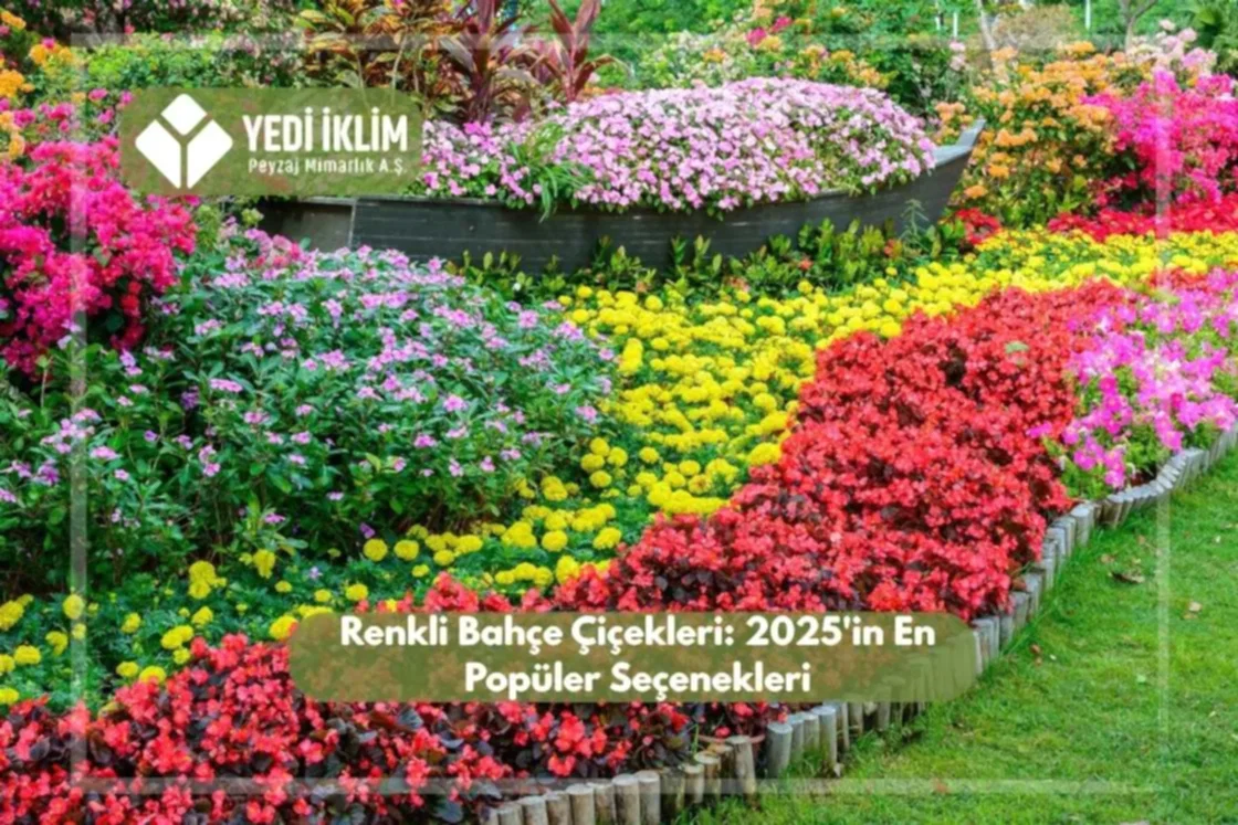 Renkli Bahçe Çiçekleri 2025'in En Popüler Seçenekleri