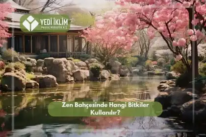 Zen Bahçesinde Hangi Bitkiler Kullanılır?