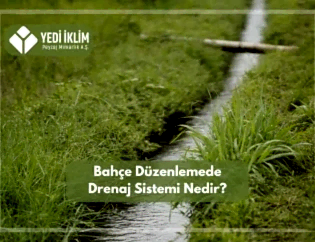 Bahçe Düzenlemede-Drenaj Sistemi Nedir?