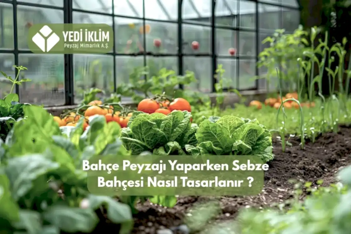 Bahçe Peyzajı Yaparken Sebze Bahçesi Nasıl Tasarlanır?