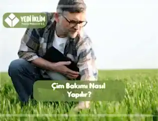 Çim Bakımı Nasıl Yapılır?