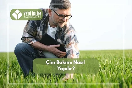 Çim Bakımı Nasıl Yapılır?
