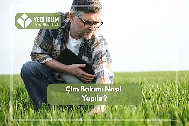 Çim Bakımı Nasıl Yapılır?