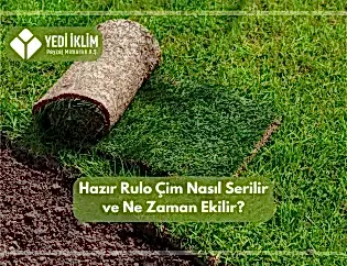 Hazır Rulo Çim Nasıl Serilir ve Ne Zaman Ekilir?