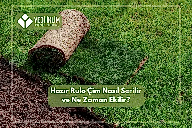 Hazır Rulo Çim Nasıl Serilir ve Ne Zaman Ekilir?