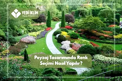 Peyzaj Tasarımında Renk Seçimi Nasıl Yapılır?