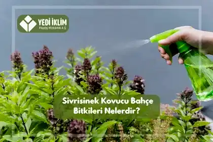 Sivrisinek Kovucu Bahçe Bitkileri Nelerdir?